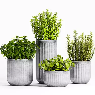 Exquisite Decorative Plant Set 3D model image 1 