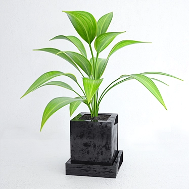 Title: Leafy Delight: Indoor Pot Plant 3D model image 1 