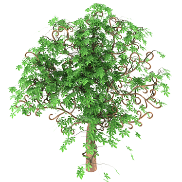 Elegant Wrought Vine Tree 3D model image 1 