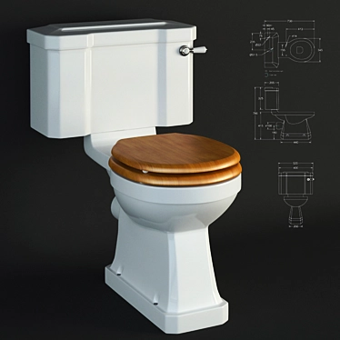 Burlington Classic Toilet: Porcelain, Dual Flush, Gold Oak Seat 3D model image 1 