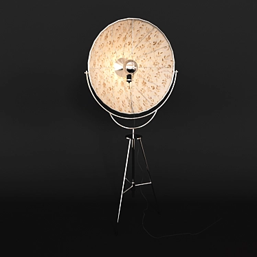 Fortuny Floor Lamp: Timeless Elegance Illuminated 3D model image 1 