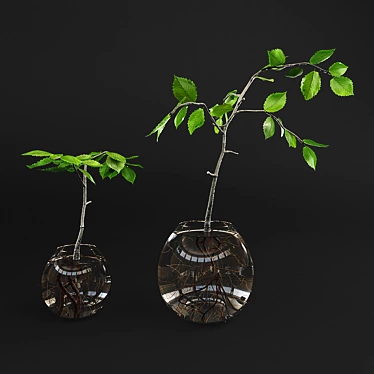 Mini Succulents in Glass Vase 3D model image 1 