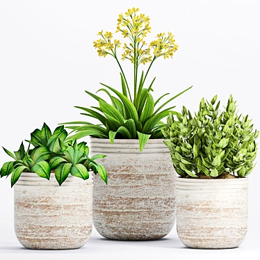 Botanical Bliss: Decorative Plant Set 3D model image 1 