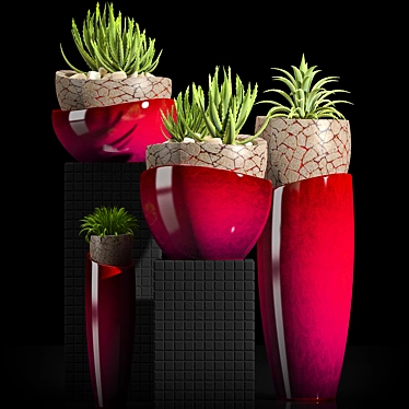 Modern Plant Set 3D model image 1 