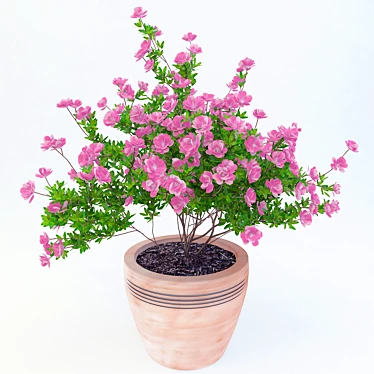 Title: Vibrant Azalea Potted Plant 3D model image 1 