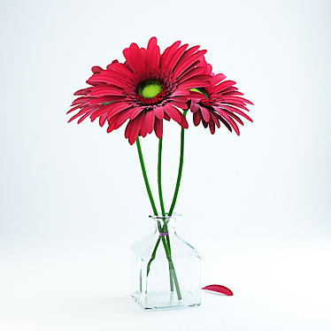 Vibrant Gerbera Bouquet 3D model image 1 