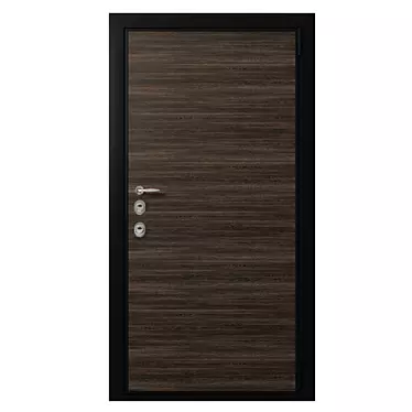 Metal Entrance Door with Wooden Decorative Plate 3D model image 1 