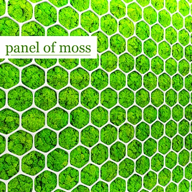 Evergreen Moss Panel: Natural Beauty, Minus the Upkeep 3D model image 1 
