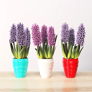 Indoor Beauty: Hyacinth Blossom 3D model image 1 