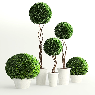 Green Oasis: Botanical Collection 3D model image 1 
