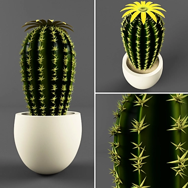 Blooming Cactus in Pot 3D model image 1 