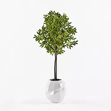 Stylish Indoor Plant in Pot 3D model image 1 