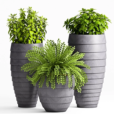 25 Piece Plant Set 3D model image 1 