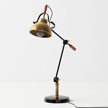 Elegant Brass Wood Desk Lamp 3D model image 1 