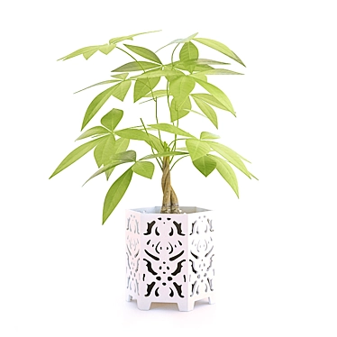 Original Pot Plant 3D model image 1 
