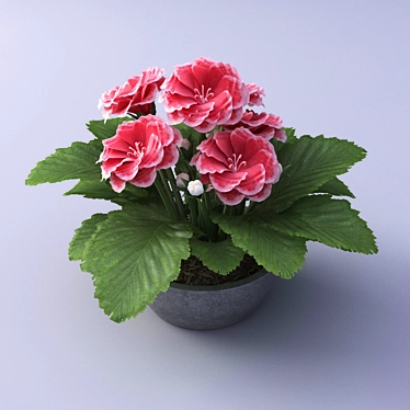 Breathtaking Gloxinia in a Pot 3D model image 1 