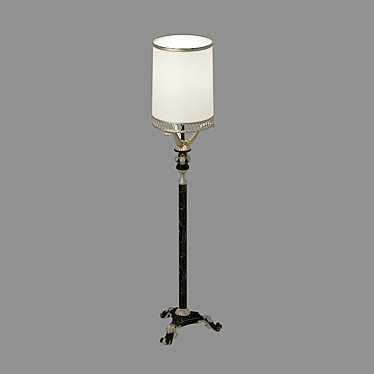 Elegant Standing Lamp 3D model image 1 