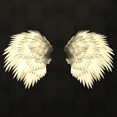 Heavenly Feather Relief 3D model image 1 