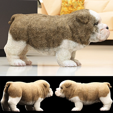 Charming English Bulldog Puppy with Beautiful Coat 3D model image 1 