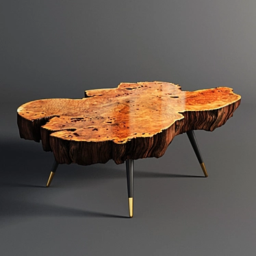 Natural Wood Slab Coffee Table 3D model image 1 