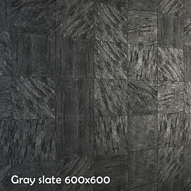 Slate Gray 600x600 Floor Tile 3D model image 1 