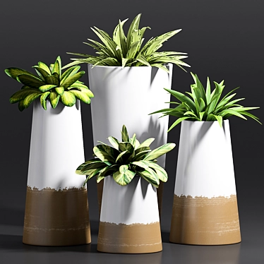Modern Decorative Plant Set 3D model image 1 