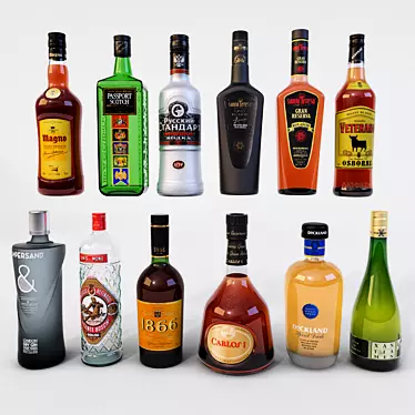 Connoisseur's Collection: Alcoholic Beverages 3D model image 1 