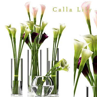 Elegant CALLA LILY 2 Sculpture 3D model image 1 