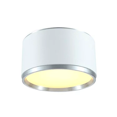 24W LED Ceiling Light, White 3D model image 1 