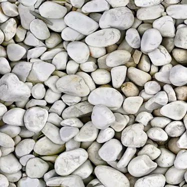 Smooth White-Pebble Texture 3D model image 1 