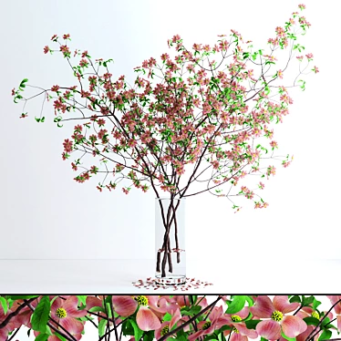 Realistic Pink Dogwood Blossom Branches 3D model image 1 