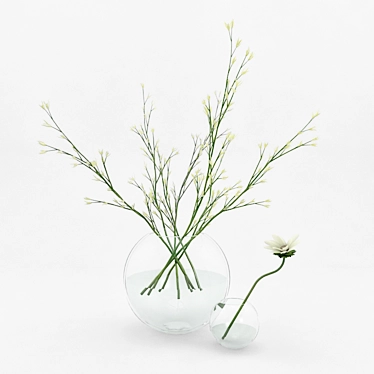 Blossom Duo: Varying Vases, Twin Plants 3D model image 1 