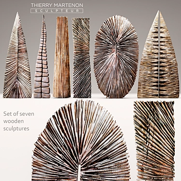 Wooden Sculptures by Thierry Martenon 3D model image 1 