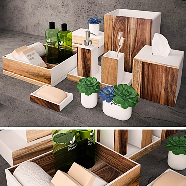 Nature-inspired Bath Accessories by Kassatex 3D model image 1 