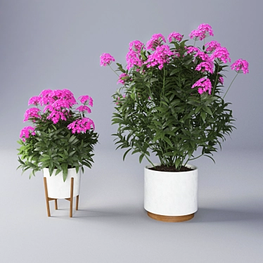 Vibrant Verbena Flower Pot 3D model image 1 