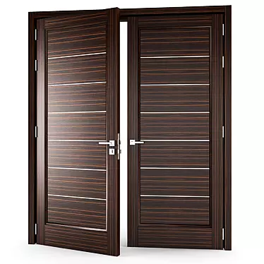 Contemporary Metal Accented Wood Door 3D model image 1 