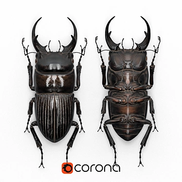 Beetle in Frame: Dorcus Intermedius 3D model image 1 