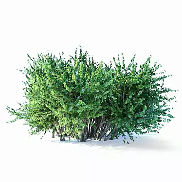 Title: High-Poly Bush Model 3D model image 1 