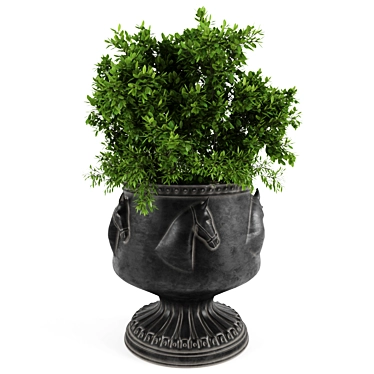 Houseplant Dark Green