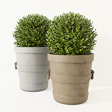 Elegant Boxwood Planters 3D model image 1 