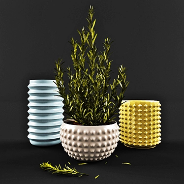 Rosemary Vases: Aromatic and Stylish 3D model image 1 