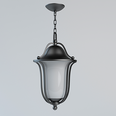 Sleek Black Hinkley Lighting 3D model image 1 