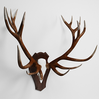 Majestic Antler Stags 3D model image 1 