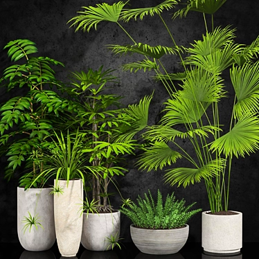 Indoor Plants Collection 3D model image 1 