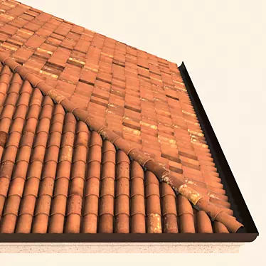 Authentic Italian Tile Roof 3D model image 1 
