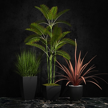 Indoor Plants Set 06 3D model image 1 