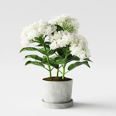 Hydrangea Delight in a Pot 3D model image 1 