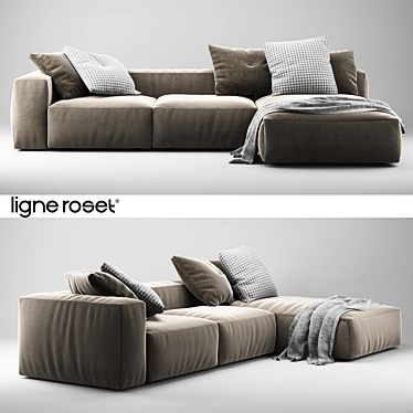 Ligne Roset Nils Sofa Large