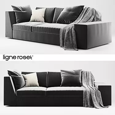 Luxury Ligne Roset Exclusif Sofa 3D model image 1 