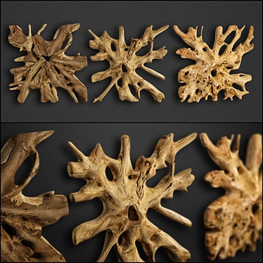 Teak Root Sculpture: Unique, Rustic Art 3D model image 1 